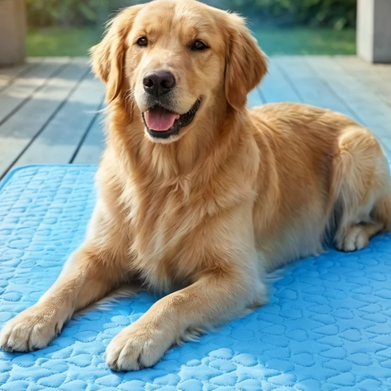 Summer Breathable Pet Cooling Mat - Image 5