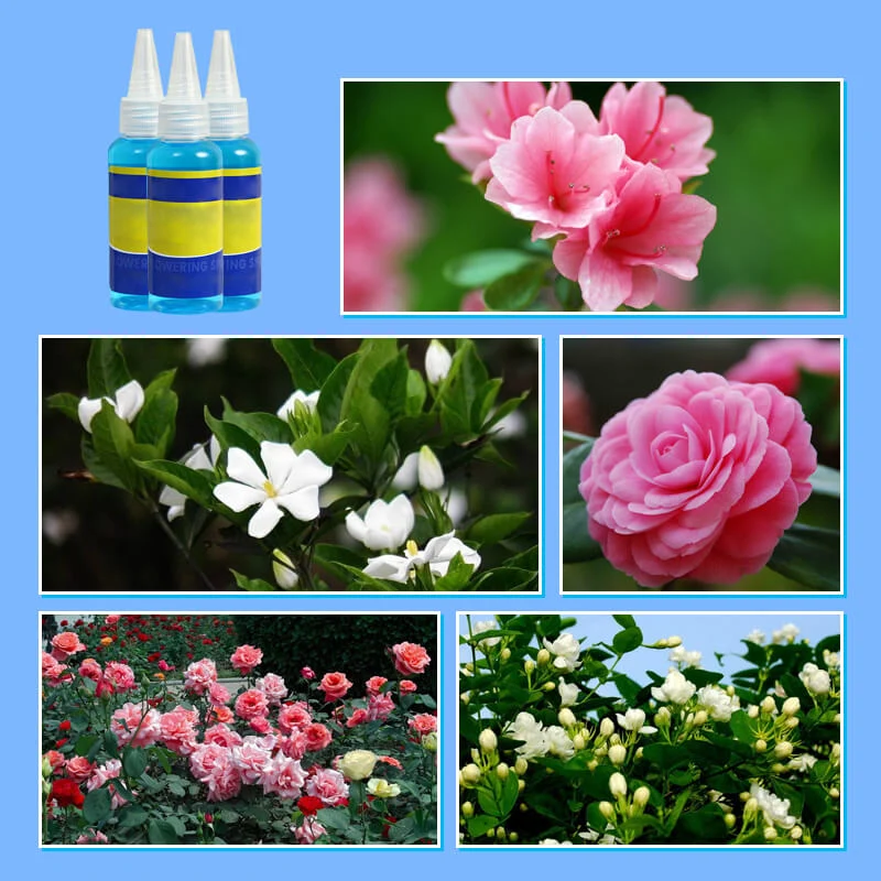 Universal nutrient solution for flowering potted plants - Image 6
