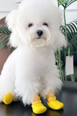 Anti-Slip Waterproof Pet Shoe Socks