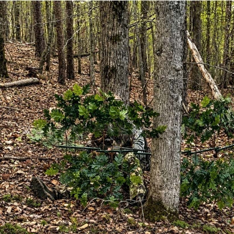 Foldable Hunting Concealment Branch - Image 2