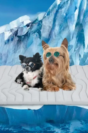 💥LAST DAY SALE 50% OFF💥Vagascape Dog Cooling Eco-friendly Mat, Cooling Pad