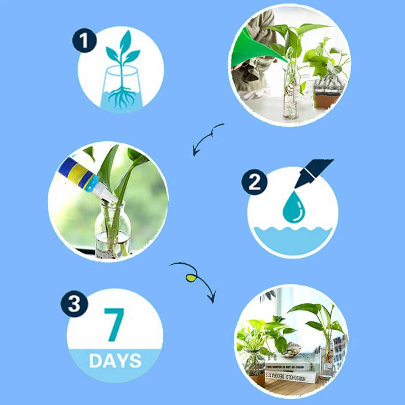 Universal nutrient solution for flowering potted plants - Image 8
