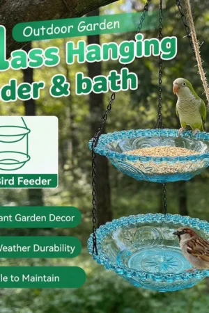 💞50K+ SOLD!🐦🌧️Vintage-Style Bird Feeder with Bath – Hangs anywhere, easy to fill. Attracts robins & blue tits. Perfect for nature lovers. 🏡✨